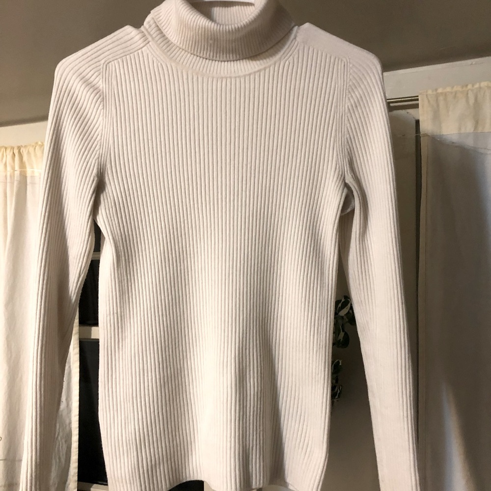 Everrlane Merino rib turtleneck